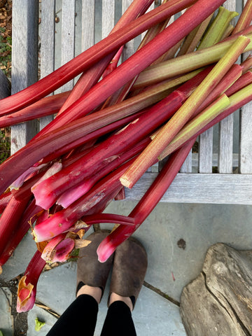 Dreaming of Spring - Seasonal Eating