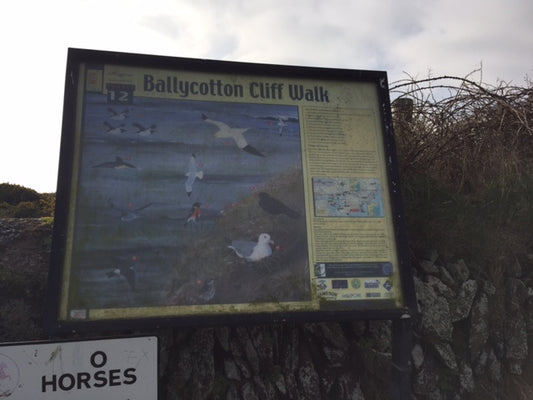 Ballycotton Cliff Walk