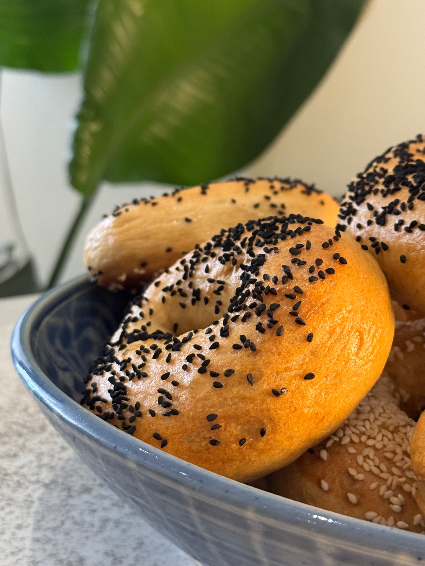 March 4 | Basic Bread + Bagels