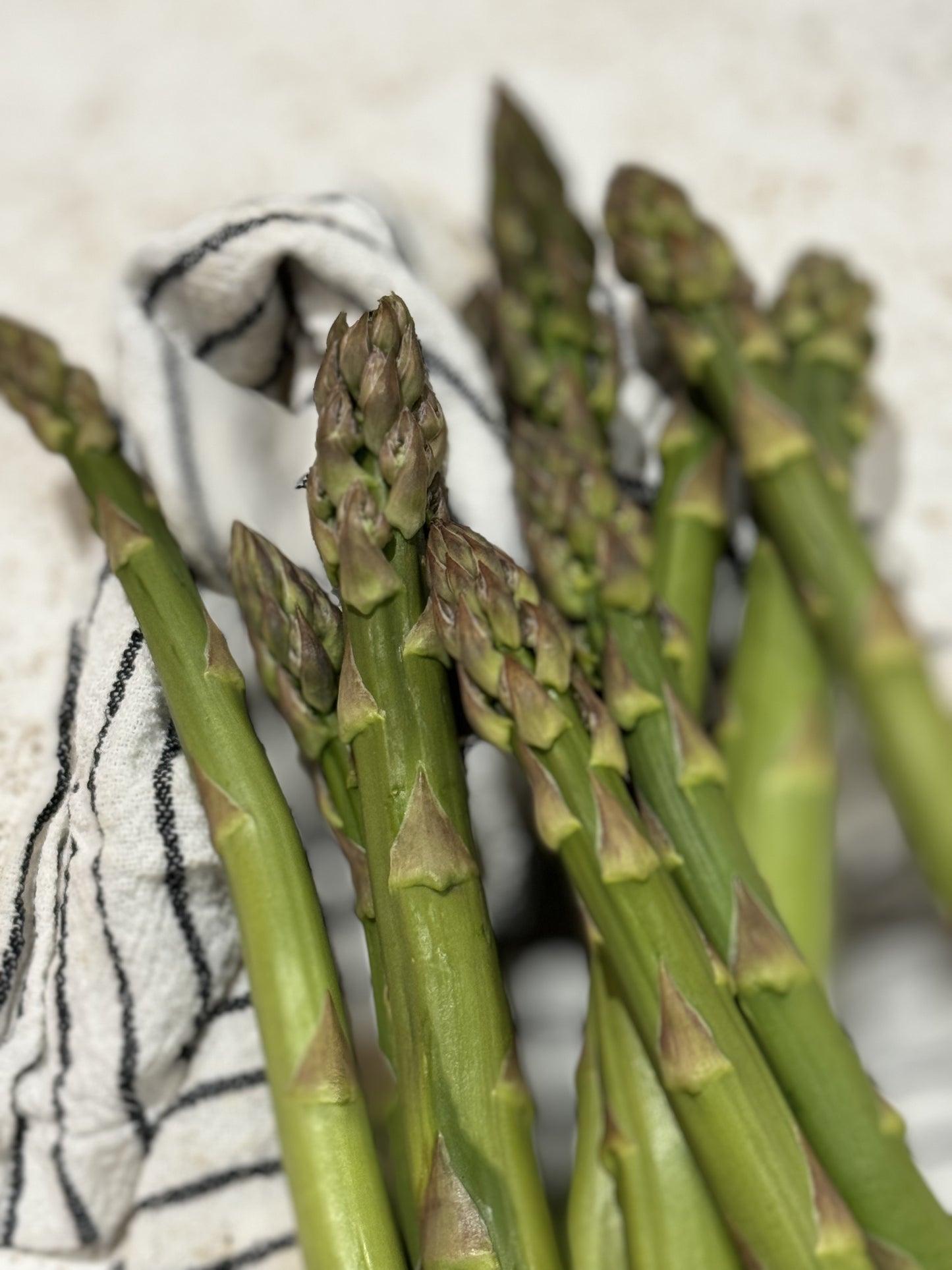 June 11 | All Things Asparagus