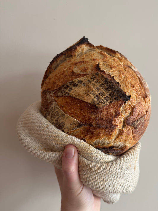 March 13 | Sourdough: The Basics